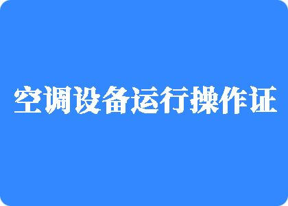 大黑屌操中国人影院制冷工证